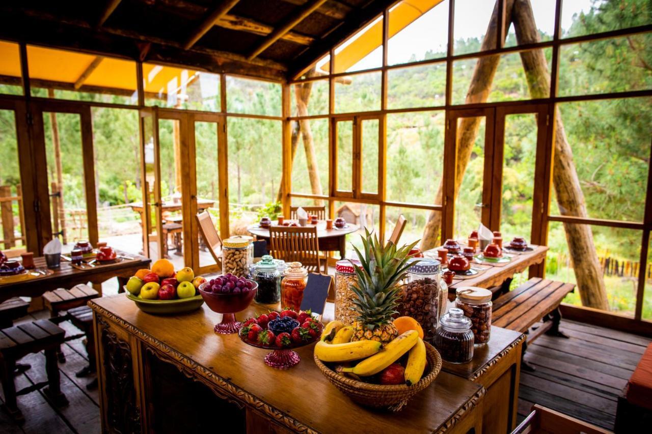 Quinta Alma - Ecological Retreat Farm Luxuszelt *